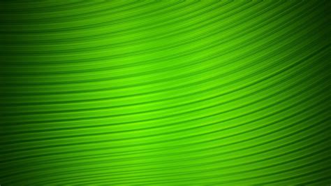 Green Colour Wallpapers Top Free Green Colour Backgrounds