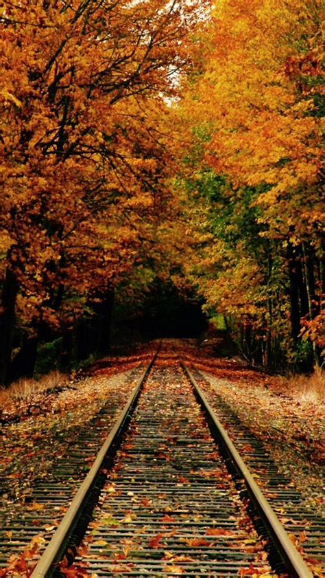 Autumn Tracks To Nowhere Source Train Tracks Scenery