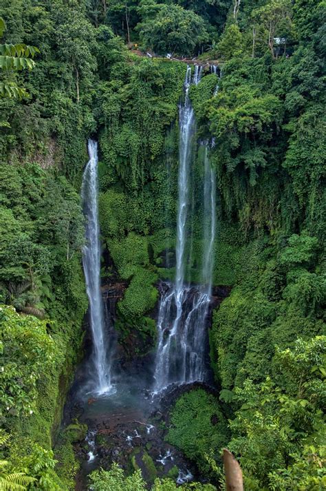 Sekumpul Waterfall Hike Entrance Fee Bali 2021