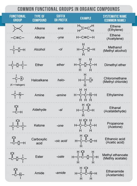 Organic Chemistry Functional Groups Organic Chemistry Organic