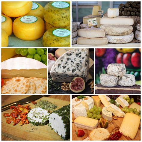 Cheese Collage Free Stock Photo Public Domain Pictures