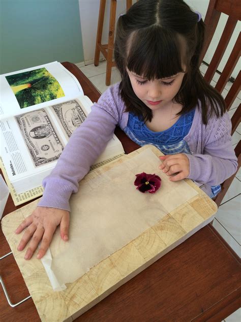Here's what this pro florist had to say about drying and framing flowers at home: DIY Book Flower Press (free craft from the garden) | Be A ...