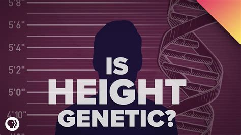 Is Height All In Our Genes Genetics Genetic Variation Science And