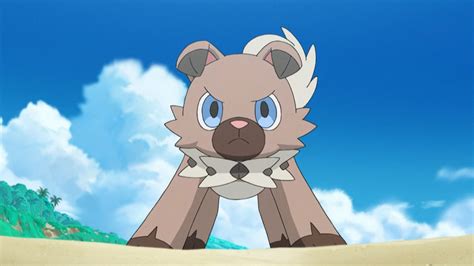 How To Evolve Rockruff To Midday Lycanroc Midnight Lycanroc And Dusk