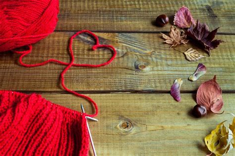 Red Wool And Knitting Needles Stock Photo Image Of Life Wool 40206988