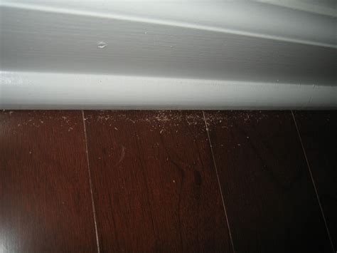 Signs of termites in kitchen cabinets. Any idea what causes this? termite? (Fort Mill, Johnston ...