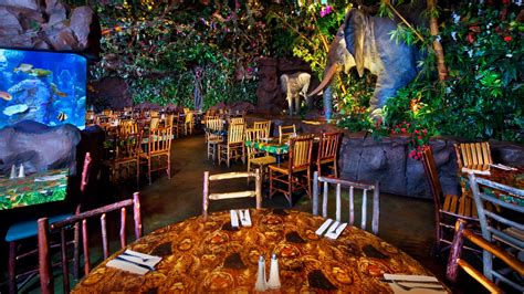 Rainforest Café Dining Review Enjoy Themed Dining Kids Will Love In