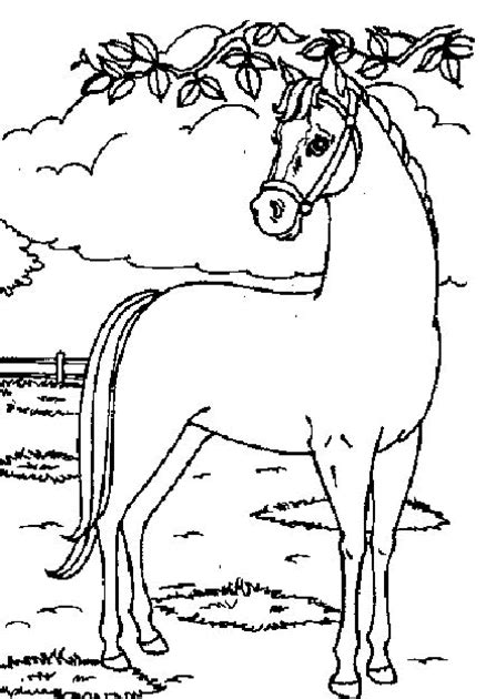 Paarden Kleurplaten Om Uit Te Printen