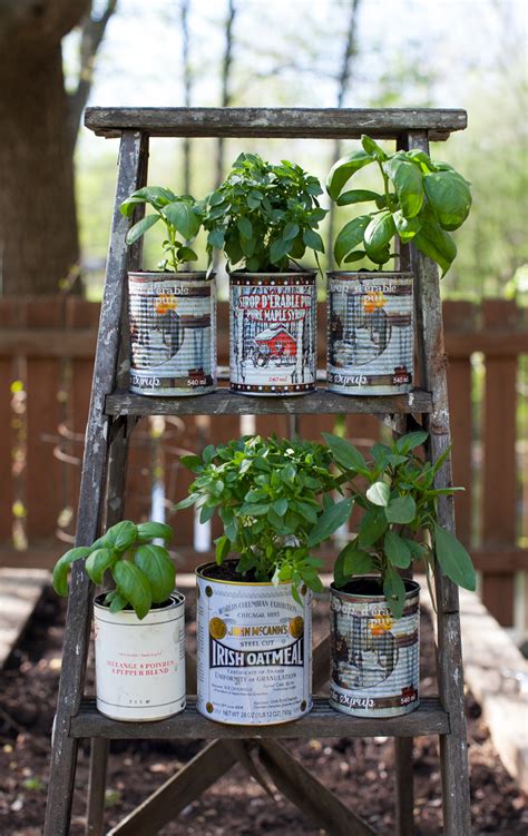 Recycled Herb Planters And An Upcycled Wooden Ladder Garden Display