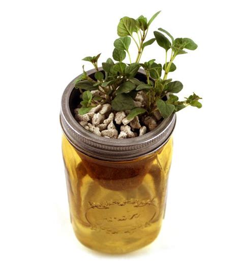 Your basil will thrive when you're away. Herb garden kit - mason jar self-watering planter with ...