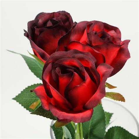 24 pcs Red/Black Artificial Long Stem Silk Rose Flowers With Green ...