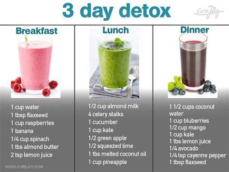 3 Day Cleanse Mucusless Diet Pdf Dietra