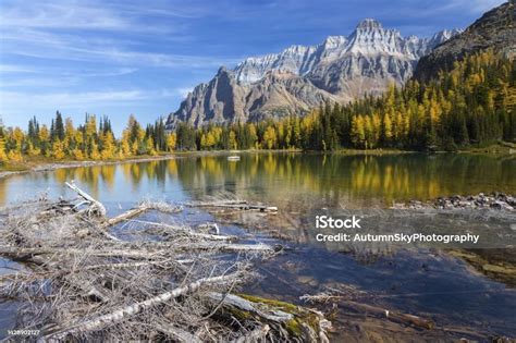 Scenic Autumn Landscape Yoho National Park Canadian Rockies Stock Photo