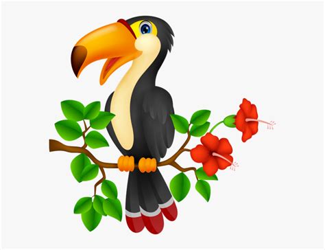 Tropical Birds Cartoon Transparent Cartoons Birds Cartoon Hd Png