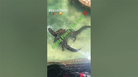 My Daughter And I Feeding Gators In Orlando‼️🐊 Youtube