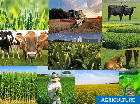 Agriculture & Natural Resources | Boyle County