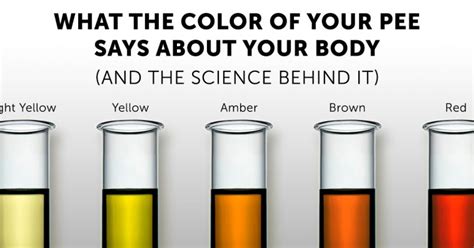 This Urine Color Chart Explains How To Read Your Pee Bulletproof Urine Color Meaning Pee And