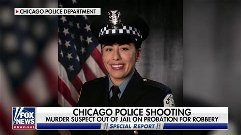 Suspect In Chicago Police Officers Murder Was Involved In Hit And Run While On Probation Fox