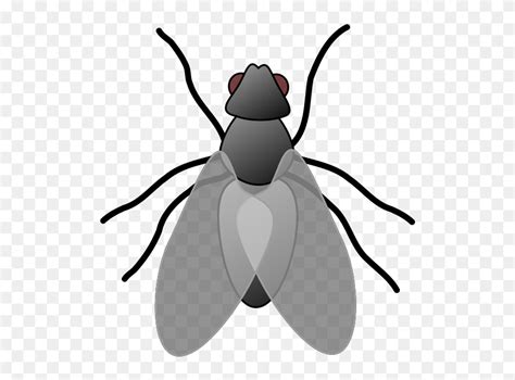 Fly Clip Art Png Download 5594740 Pinclipart