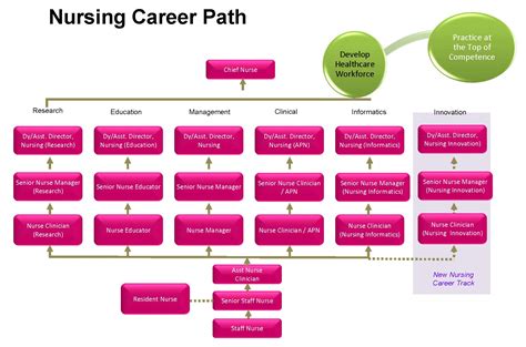 Nursing Career Tracks