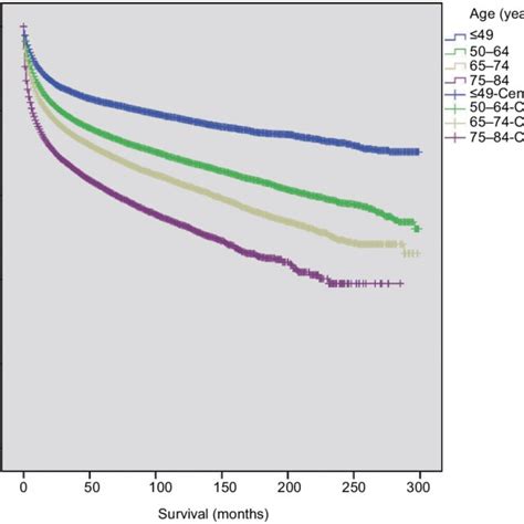 Survival Curves In Patients With Kidney Cancer According To Different