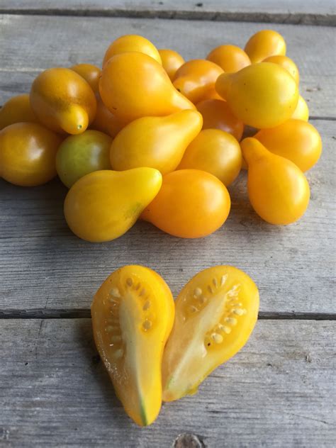Yellow Pear Tomato Heirloom Kitchen Table Seed House