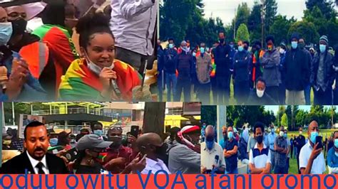 Oduu Owitu Hatataamaa Voa Afan Oromo Youtube
