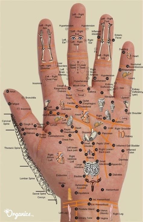 Check spelling or type a new query. What does an itchy right palm mean? - Quora