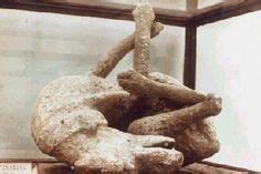 29 Best Pompeii images | Pompeii, Pompeii, herculaneum ...