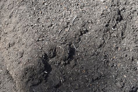 We did not find results for: Bark, Mulch, Compost and Potting Mix - Mid North Pave and ...