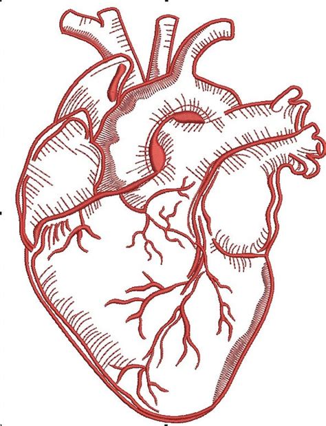 Realistic Human Heart Machine Embroidery Design Instant Etsy