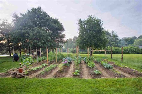 How To Start A Vegetable Garden In 9 Easy Steps