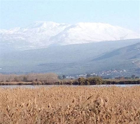 Hula Nature Reserve With A Snowy Mt Hermon In The