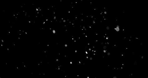 Flying Dust Particles On Black Background Stock Footage Sbv 337698529