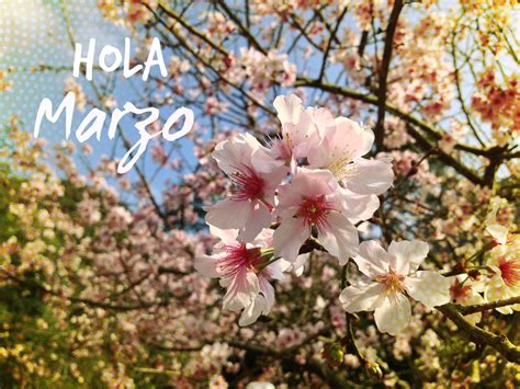 Born 15 may 1986), commonly known as bienve. Bienvenido Marzo, ¡huele a primavera! | Bienvenido marzo ...