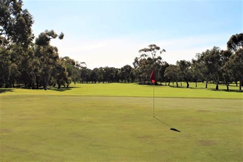 Regency Park Golf Course Ultimate Review Project Golf Australia