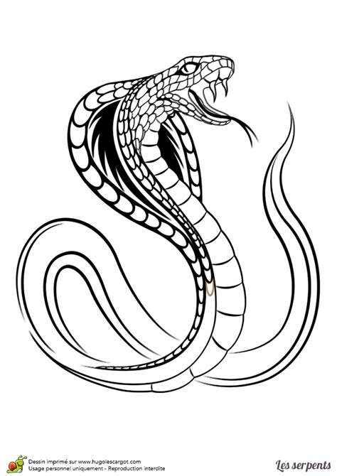 Coloriage Dun Serpent Cobra