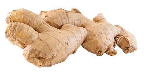 Ginger PNG Image PurePNG Free Transparent CC PNG Image Library