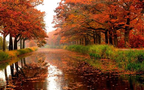 🔥 Download Autumn Rain Splendor By Sarahb83 Rainy Fall Wallpapers
