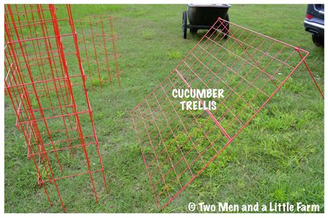 9 how to make tomato cages. Two Men and a Little Farm: RED GARDEN TRELLIS CAGES