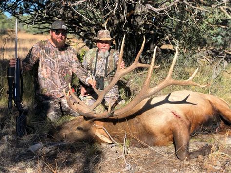 New Mexico Guided Elk Hunts Public And Private Land K9 Country Outfitters