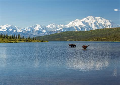 Visit Denali National Park On A Trip To Alaska Audley Travel Uk