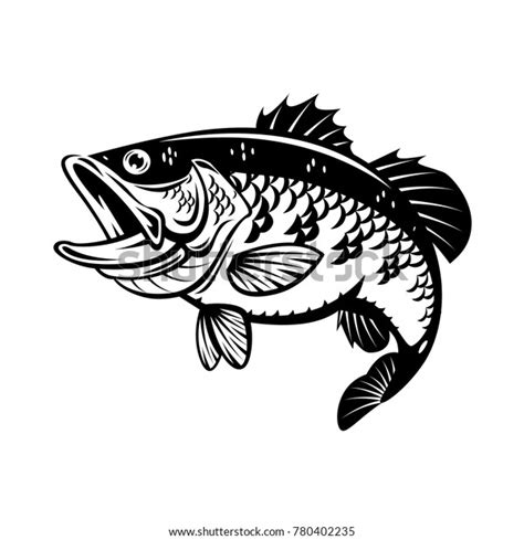 Graphic Bass Fish Vector Stock Vector Royalty Free 780402235