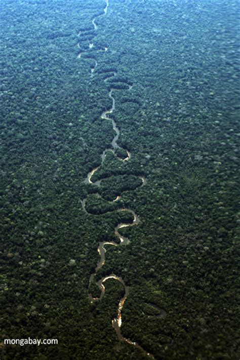 Facts About The Amazon Rainforest