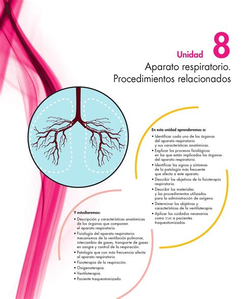 Anatomia Del Sistema Respiratorio By Vivi Mendoza Issuu