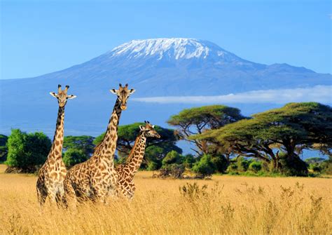 Geography Of Tanzania Tanzania Safaris Wanderful Tanzania