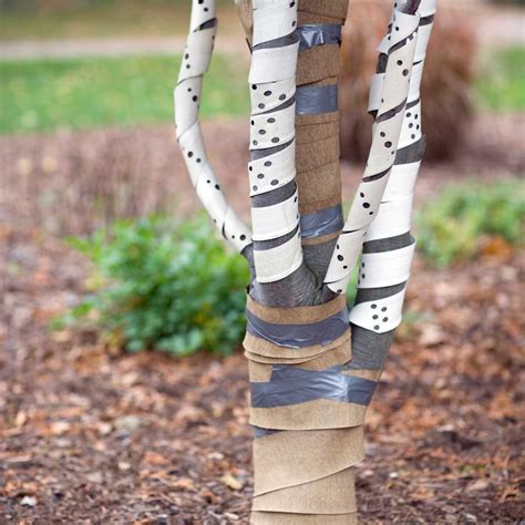 What Is Tree Wrap and How Do I Use It? | The Family Handyman