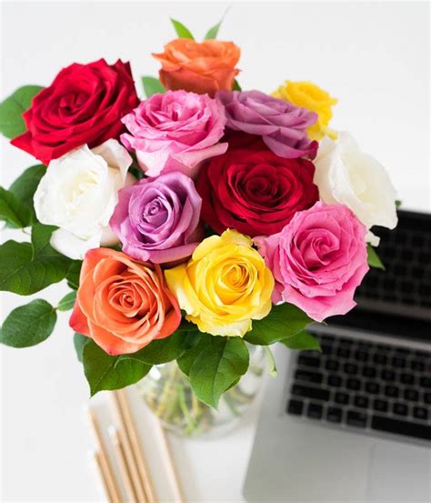 The whole thing is a… One Dozen Valentine's Day Rainbow Roses at From You Flowers