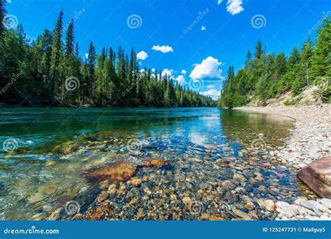 Glacier National Park Landscape Canada Stock Image Image Of Forest