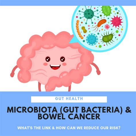 Bowel cancer is often though of as an illness that only affects older people, but more than 2,400 people under 50 are diagnosed each year in the uk. Microbiota (Gut Bacteria) and Bowel Cancer: what's the ...